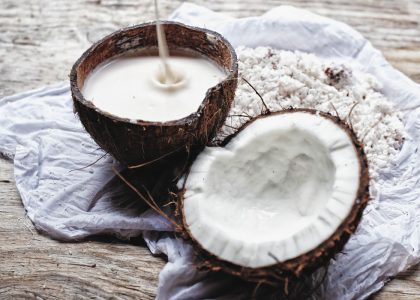 peluang bisnis kelapa parut