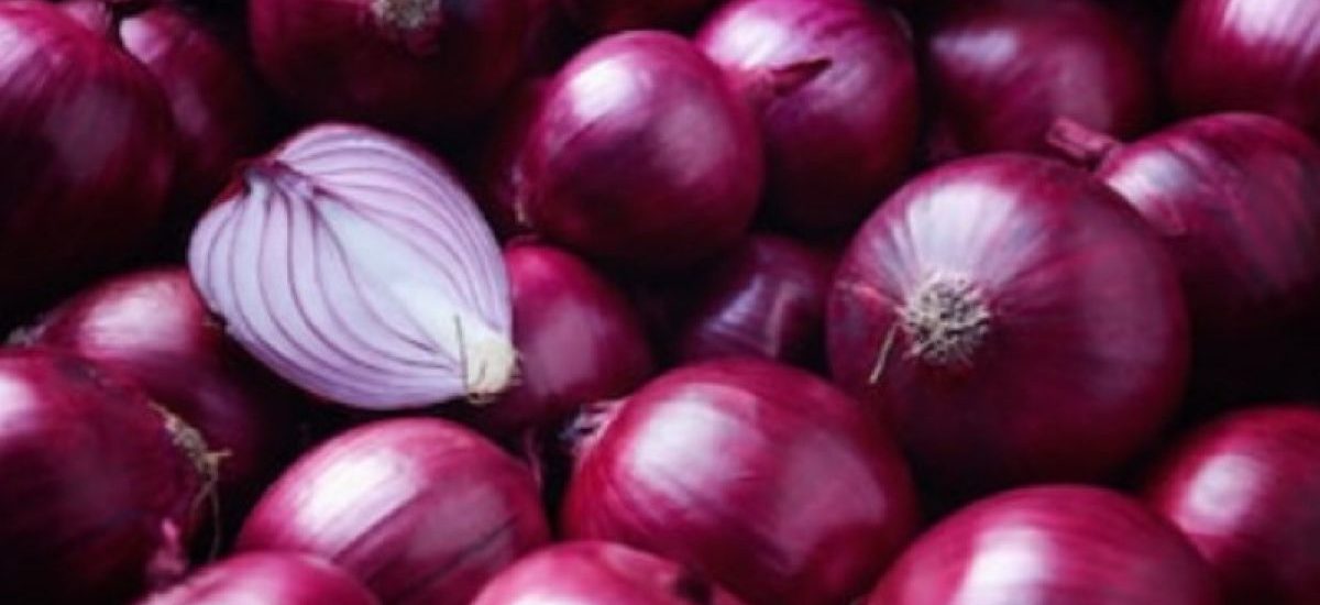 usaha perajangan bawang untuk produksi