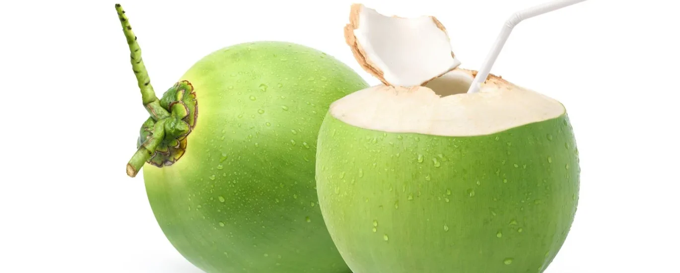 cara membuat olahan kelapa