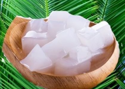 resep nata de coco