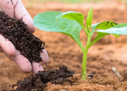 proses kompos ramah lingkungan