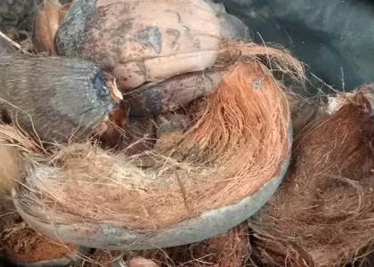 produk dari sabut kelapa