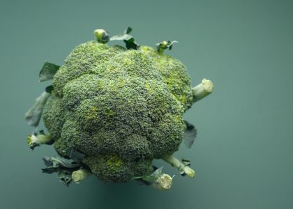 manfaat chlorella untuk sistem imun