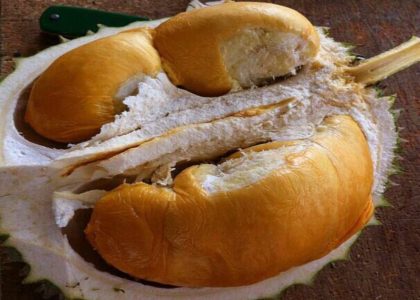 Alat praktis membelah durian