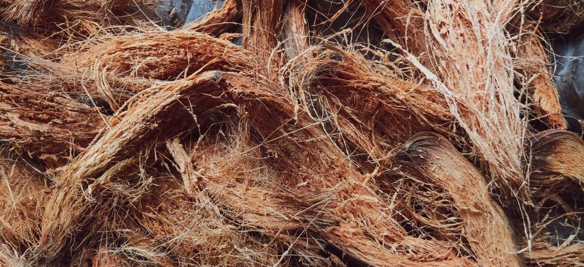 Sabut kelapa sebagai bahan biofilter alami