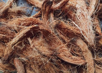 Sabut kelapa sebagai bahan biofilter alami