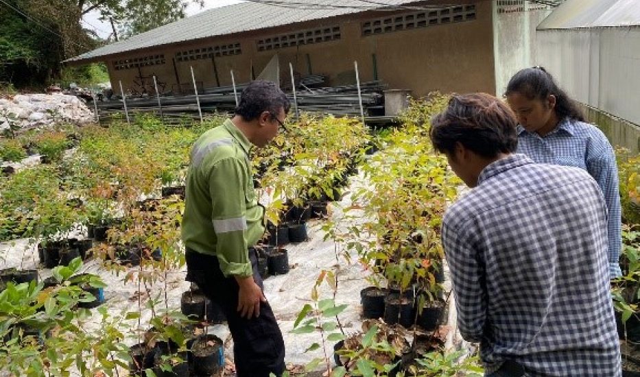 Pengenalan Cocomesh di Program Magang Kehutanan Mahasiswa