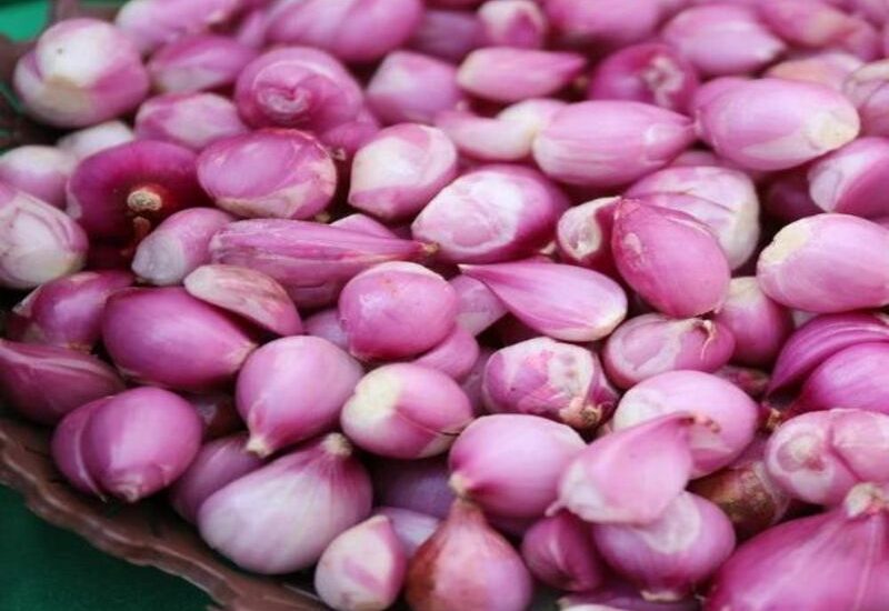solusi dapur biar kupas bawang cepat
