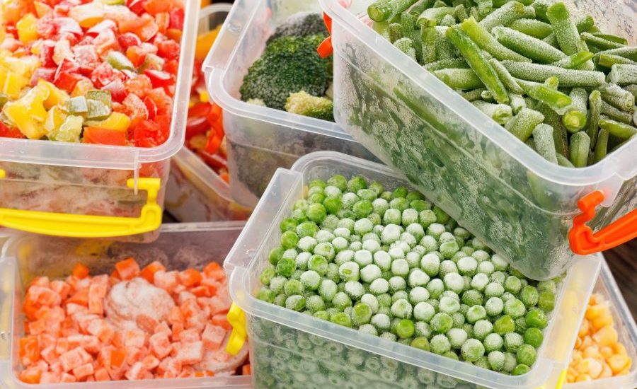 manajemen penyimpanan bahan beku