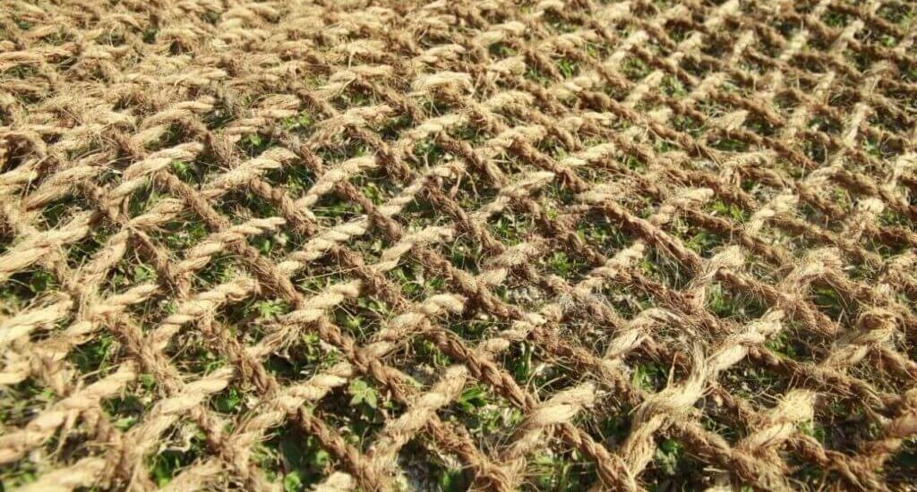 cocomesh alami dalam pemulihan area pesisir rusak